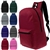 17 Inch Basic Backpacks in 8 Assorted Colors